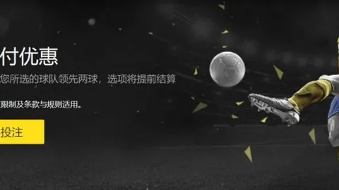 湖人队担忧范德彪赛季报销，锋线引援恐加速落实